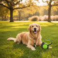 Safety-Enhanced Reflective Leash