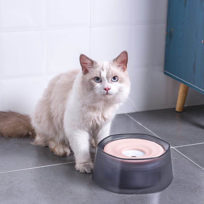 Splash-proof Pet Drinking Bowl